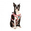 Peitoral step-in para cães FuzzYard You Drive Me Glazy respirável e refletor