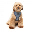 Peitoral para cão em lycra respirável FuzzYard Thornbury Aegean Blue