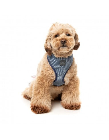 Peitoral para cão em lycra respirável FuzzYard Thornbury Aegean Blue