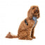 Peitoral para cão em lycra respirável FuzzYard Thornbury Aegean Blue