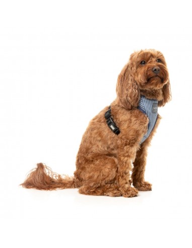 Peitoral para cão em lycra respirável FuzzYard Thornbury Aegean Blue