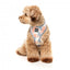 Peitoral para cão em lycra respirável FuzzYard Yazd