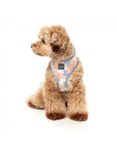 Peitoral para cão em lycra respirável FuzzYard Yazd
