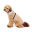 Peitoral para cão em lycra respirável FuzzYard Yazd