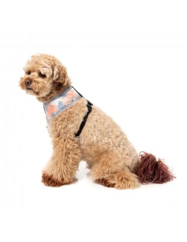 Peitoral para cão em lycra respirável FuzzYard Yazd