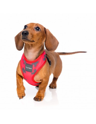 Peitoral para cão em lycra respirável FuzzYard Yeezy El Fuego, tamanho XL