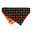 Laço de Halloween para cão FuzzYard Spooky Ghost M/L