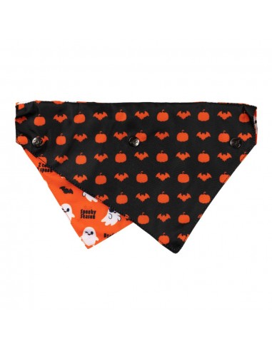 Laço de Halloween para cão FuzzYard Spooky Ghost M/L