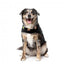 Colete para cães FuzzYard Rep It Ranger com fecho de velcro