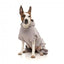 Sweatshirt com capuz para cães FuzzYard Urban cinzento-claro