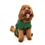 Sweatshirt com capuz para cães FuzzYard Urban verde