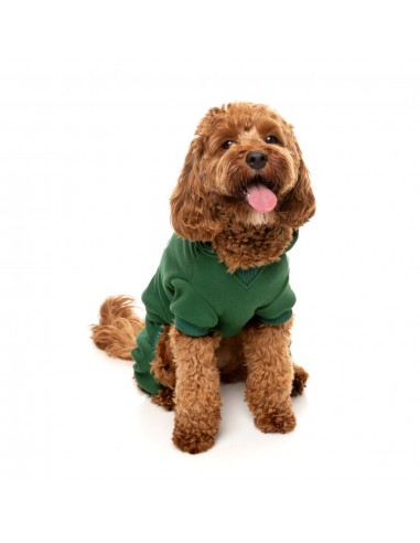Sweatshirt com capuz para cães FuzzYard Urban verde