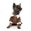 Casaco aviador para cães FuzzYard Ava castanho