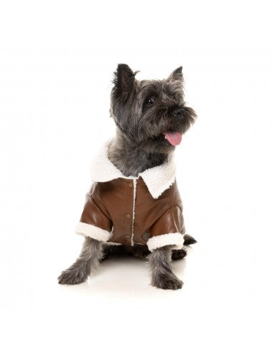 Casaco aviador para cães FuzzYard Ava castanho