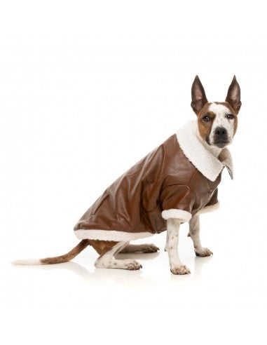 Casaco aviador para cães FuzzYard Ava castanho