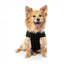 Blusão bomber acolchoado para cães FuzzYard preto