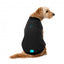 Blusão bomber acolchoado para cães FuzzYard preto