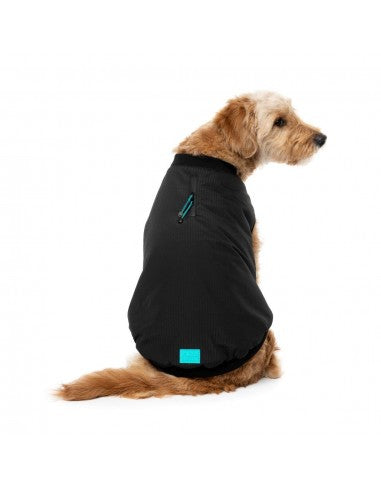 Blusão bomber acolchoado para cães FuzzYard preto