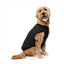 Blusão bomber acolchoado para cães FuzzYard preto