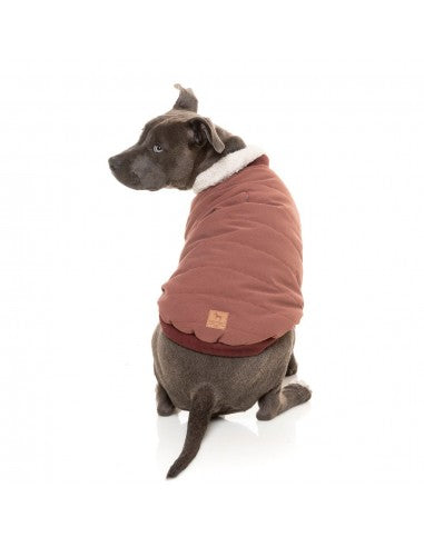 Casaco bomber para cães FuzzYard Nordic grená com cachecol amovível