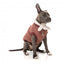 Casaco bomber para cães FuzzYard Nordic grená com cachecol amovível