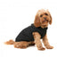 Casaco com peitoral para cães FuzzYard East MacGyver preto