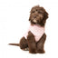 Casaco com peitoral para cães FuzzYard East MacGyver rosa