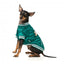 Casaco de basebol para cães FuzzYard Fastball verde