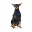 Colete sherpa para cães FuzzYard Fitzroy azul-marinho