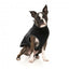 Colete sherpa para cães FuzzYard Fitzroy preto
