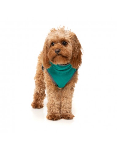 Colete sherpa para cães FuzzYard Fitzroy verde