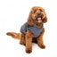 Casaco refletor com peitoral para cães FuzzYard Flash