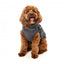 Casaco refletor com peitoral para cães FuzzYard Flash