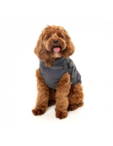 Casaco refletor com peitoral para cães FuzzYard Flash