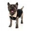 Casaco com forro sherpa para cães FuzzYard Frontier preto