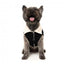 Casaco com forro sherpa para cães FuzzYard Frontier preto