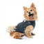 Casaco para cão com peitoral FuzzYard Horizon azul-marinho