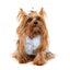 Casaco reversível para cão FuzzYard Nara 25 azul