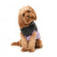 Casaco acolchoado para cães FuzzYard South Harlem lilás