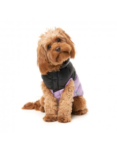 Casaco acolchoado para cães FuzzYard South Harlem lilás