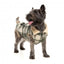 Casaco para cão FuzzYard Lumberjack 25 verde e creme
