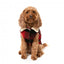 Casaco para cão FuzzYard Lumberjack 25 vermelho