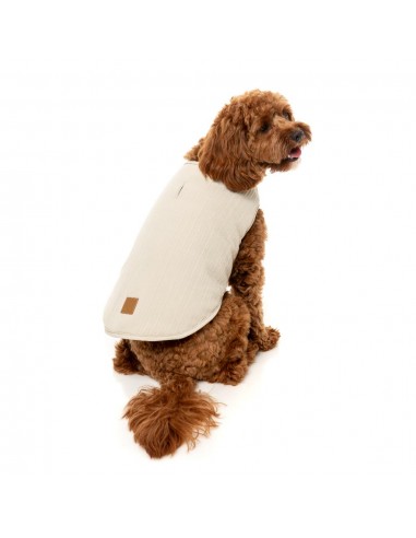 Colete reversível para cão FuzzYard Umeda cru