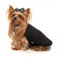 Colete reversível para cão FuzzYard Umeda preto