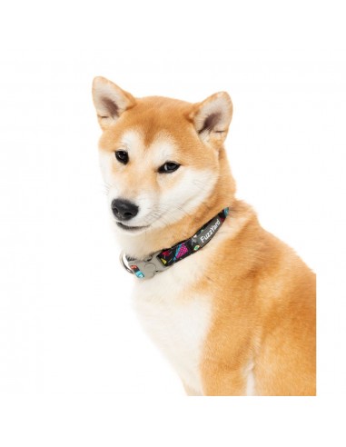 Coleira de neopreno para cães FuzzYard Bel Air
