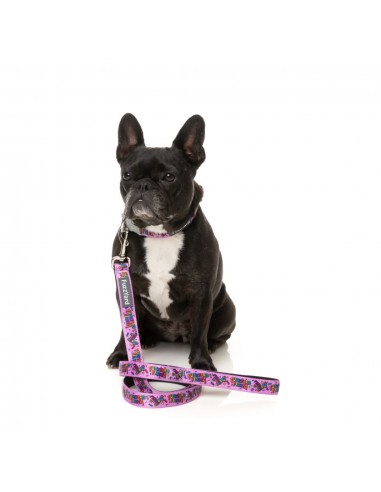 Coleira em neopreno para cães FuzzYard Fiesta (tamanho S)