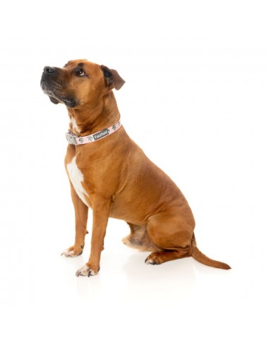 Coleira em neopreno para cães FuzzYard LL Cool Jaw (tamanho L)