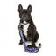 Coleira em neopreno para cães FuzzYard Pluto Pup (tamanho S)