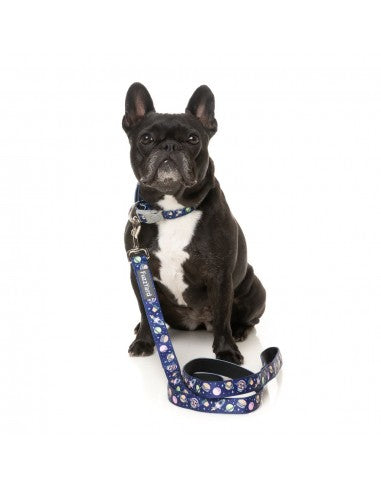 Coleira em neopreno para cães FuzzYard Pluto Pup (tamanho XS)