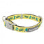 Coleira em neopreno para cães FuzzYard Sk8ter Gator (tamanho S)